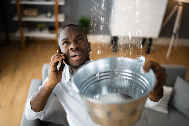 Best Water damage restoration insurance claims  in Knox, PA