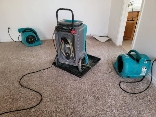 Best 24-hour water damage restoration  in Knox, PA
