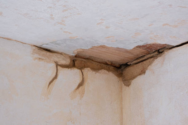 Best Flood damage cleanup  in Knox, PA