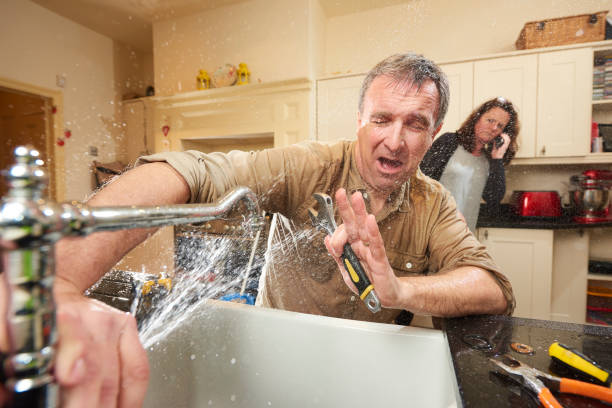 Best Flooded house restoration  in Knox, PA